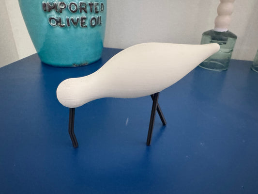 Shorebird gebogen snavel